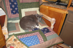 Windowpane Pet Throw